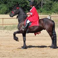 Amoureux du cheval, bienvenus