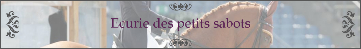 Ecurie des petits sabots